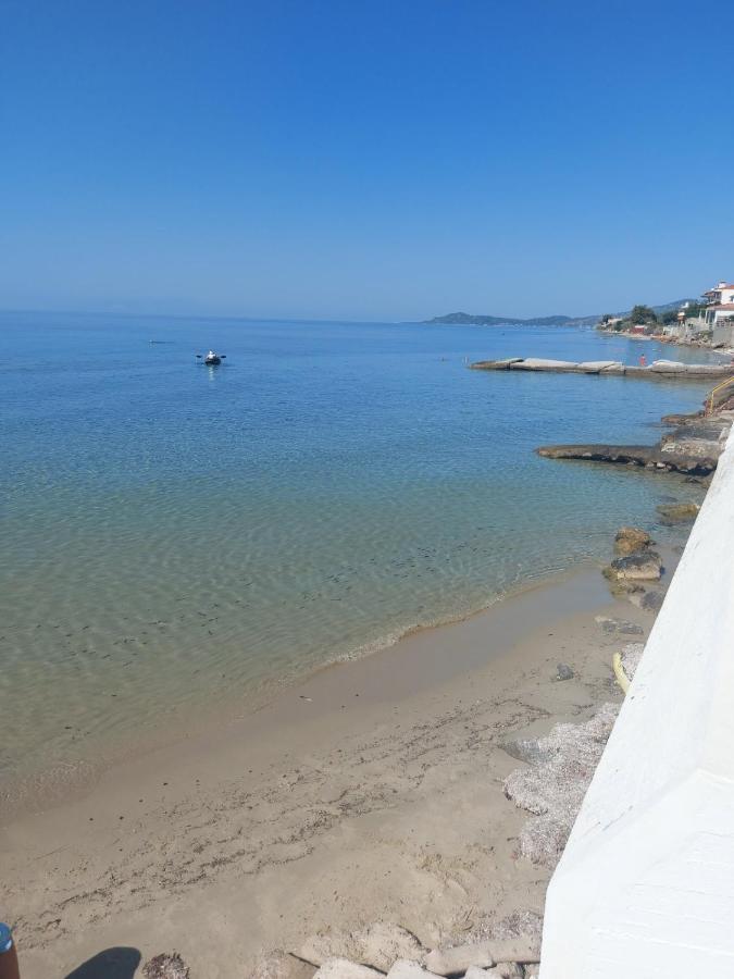 Pansion Alexandros By The Sea Aparthotel Νέα Σκιώνη Εξωτερικό φωτογραφία