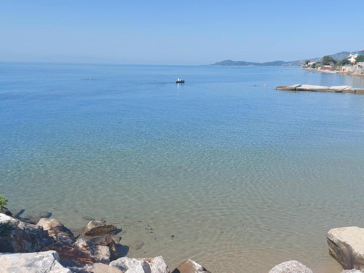 Pansion Alexandros By The Sea Aparthotel Νέα Σκιώνη Εξωτερικό φωτογραφία