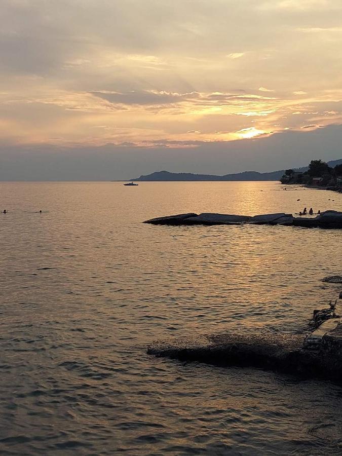 Pansion Alexandros By The Sea Aparthotel Νέα Σκιώνη Εξωτερικό φωτογραφία