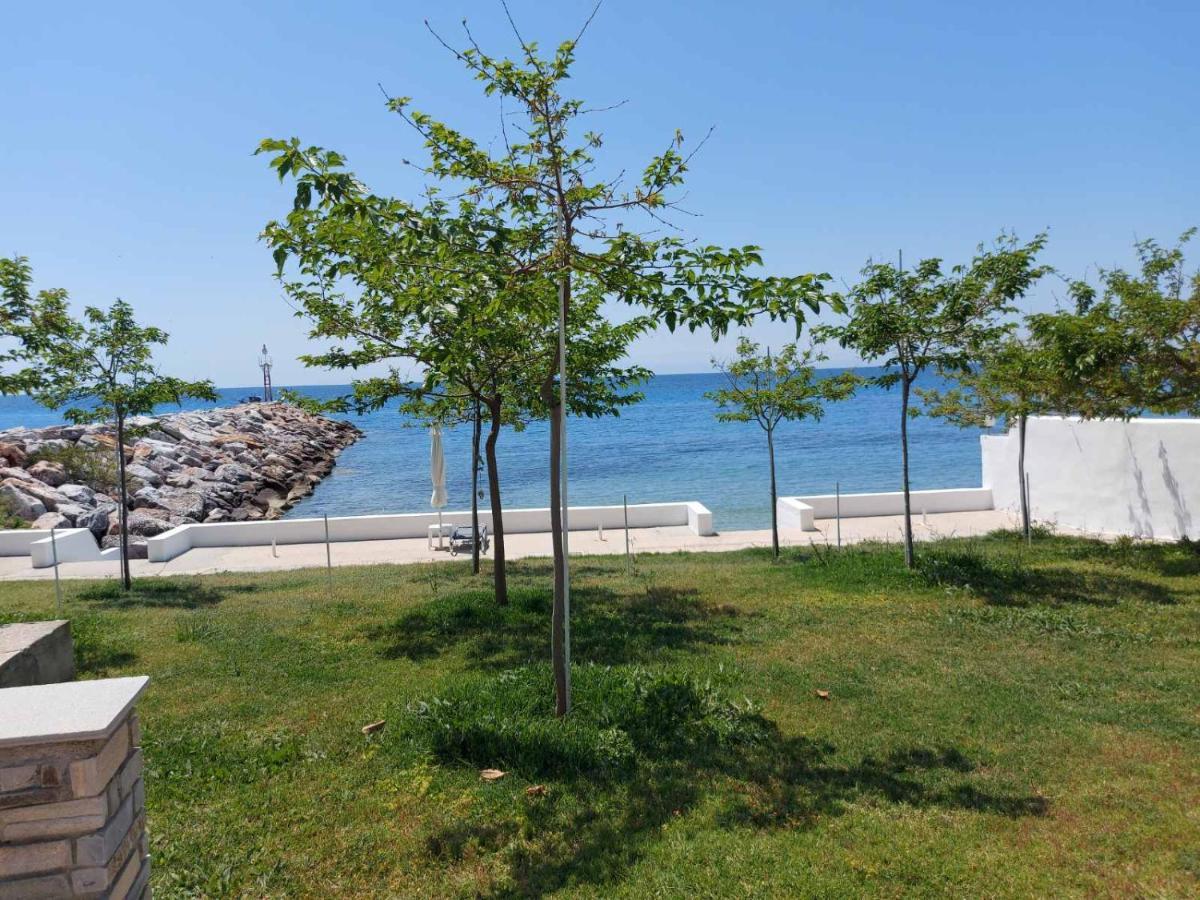 Pansion Alexandros By The Sea Aparthotel Νέα Σκιώνη Εξωτερικό φωτογραφία