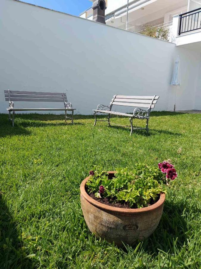 Pansion Alexandros By The Sea Aparthotel Νέα Σκιώνη Εξωτερικό φωτογραφία